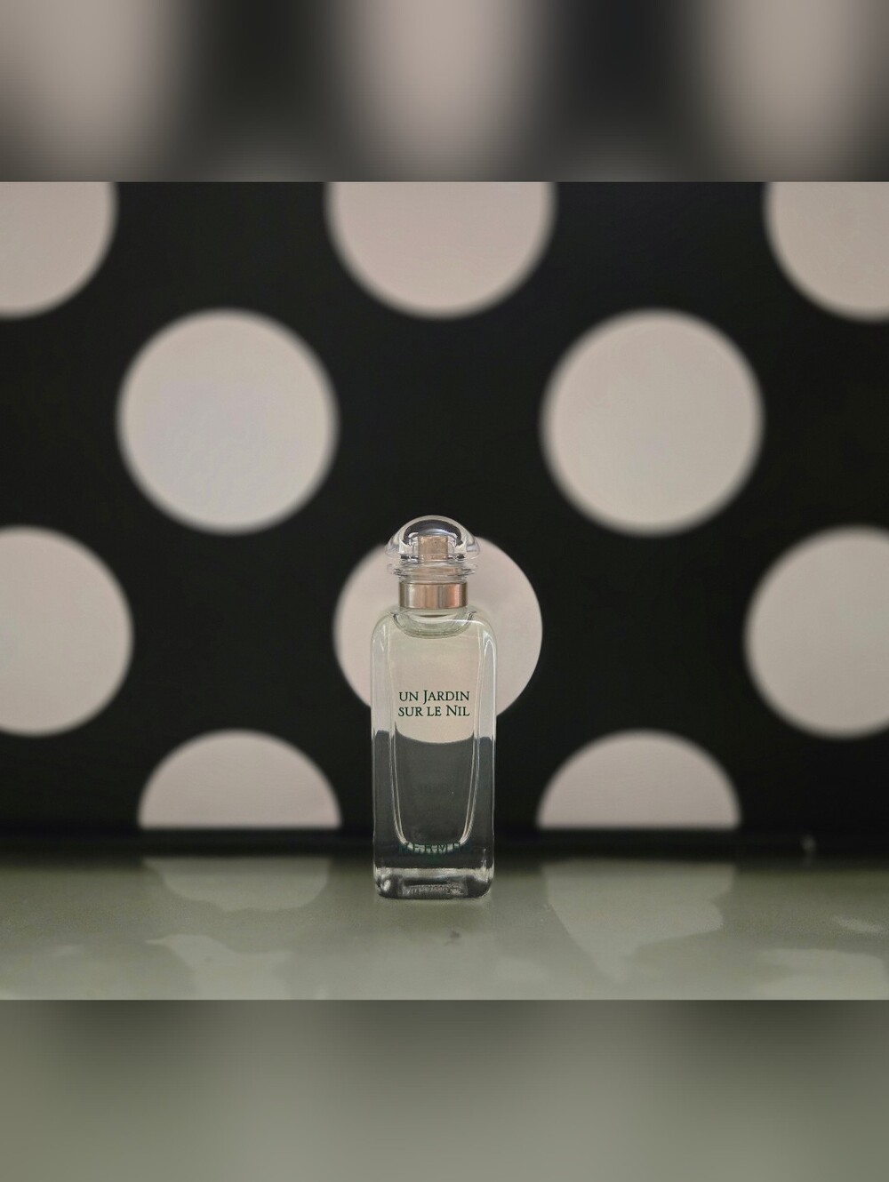 ✨️Hermès Un Jardin Sur Le Nil EDT Mini✨️